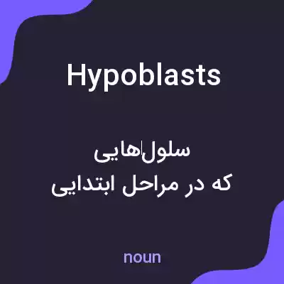 معنی hypoblasts به فارسی معنی hypoblasts به فارسی