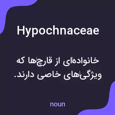 معنی hypochnaceae به فارسی معنی hypochnaceae به فارسی
