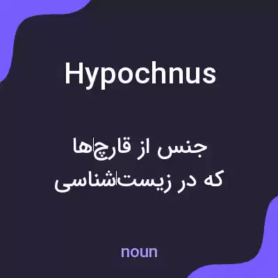 معنی hypochnus به فارسی معنی hypochnus به فارسی