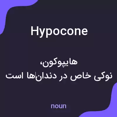 معنی hypocone به فارسی