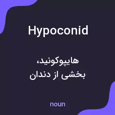 معنی hypoconid به فارسی معنی hypoconid به فارسی