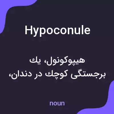 معنی hypoconule به فارسی معنی hypoconule به فارسی