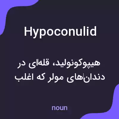معنی hypoconulid به فارسی معنی hypoconulid به فارسی