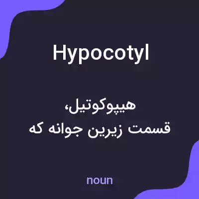 معنی hypocotyl به فارسی معنی hypocotyl به فارسی