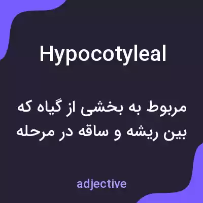 معنی hypocotyleal به فارسی معنی hypocotyleal به فارسی