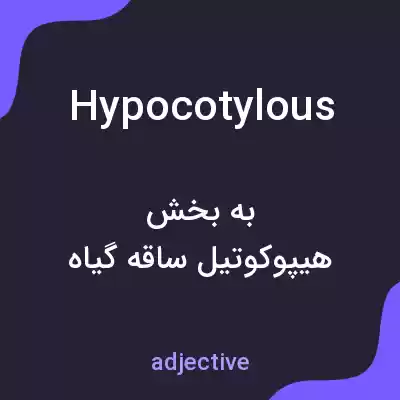 معنی hypocotylous به فارسی معنی hypocotylous به فارسی