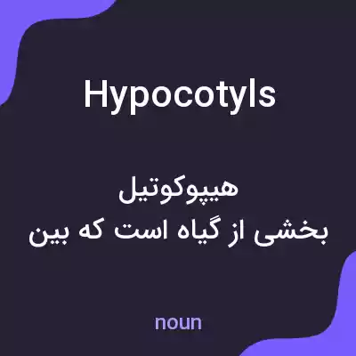 معنی hypocotyls به فارسی معنی hypocotyls به فارسی