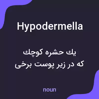 معنی hypodermella به فارسی معنی hypodermella به فارسی