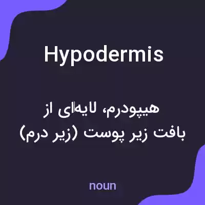 معنی hypodermis به فارسی