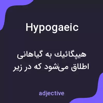 معنی hypogaeic به فارسی معنی hypogaeic به فارسی