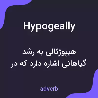 معنی hypogeally به فارسی معنی hypogeally به فارسی