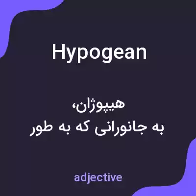 معنی hypogean به فارسی معنی hypogean به فارسی