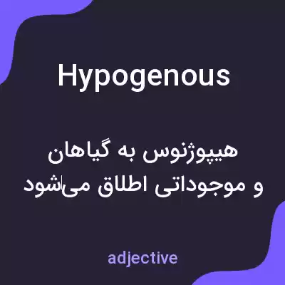 معنی hypogenous به فارسی معنی hypogenous به فارسی