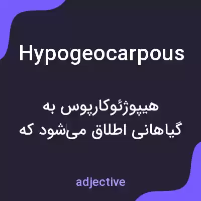 معنی hypogeocarpous به فارسی معنی hypogeocarpous به فارسی