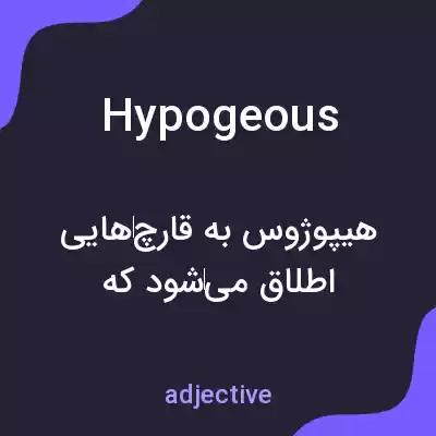 معنی hypogeous به فارسی معنی hypogeous به فارسی