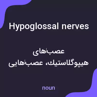 معنی hypoglossal nerves به فارسی معنی hypoglossal nerves به فارسی
