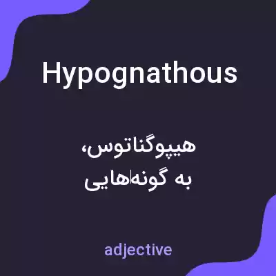 معنی hypognathous به فارسی معنی hypognathous به فارسی