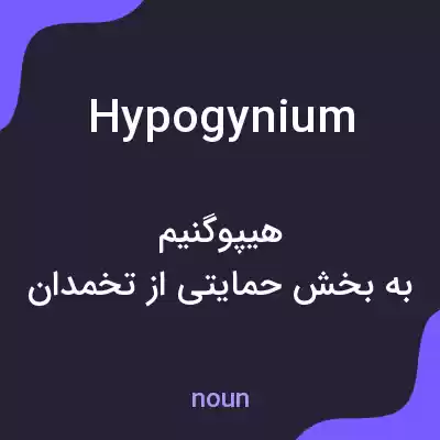معنی hypogynium به فارسی معنی hypogynium به فارسی