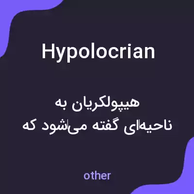 معنی hypolocrian به فارسی معنی hypolocrian به فارسی