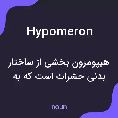 معنی hypomeron به فارسی معنی hypomeron به فارسی