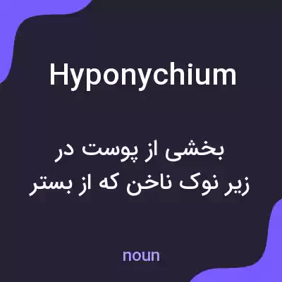 معنی hyponychium به فارسی معنی hyponychium به فارسی