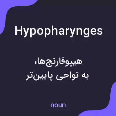 معنی hypopharynges به فارسی معنی hypopharynges به فارسی