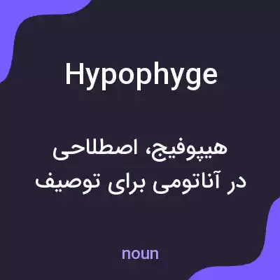 معنی hypophyge به فارسی معنی hypophyge به فارسی