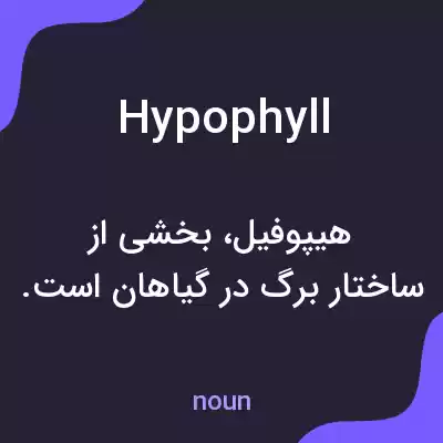 معنی hypophyll به فارسی معنی hypophyll به فارسی