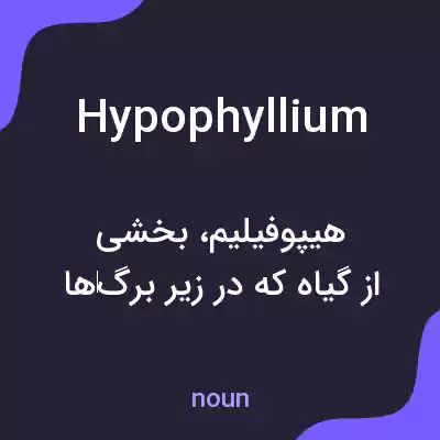 معنی hypophyllium به فارسی معنی hypophyllium به فارسی