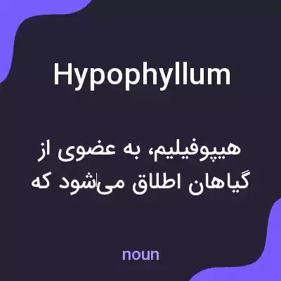 معنی hypophyllum به فارسی معنی hypophyllum به فارسی