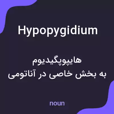 معنی hypopygidium به فارسی معنی hypopygidium به فارسی