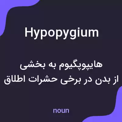 معنی hypopygium به فارسی معنی hypopygium به فارسی