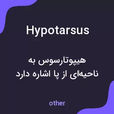 معنی hypotarsus به فارسی معنی hypotarsus به فارسی