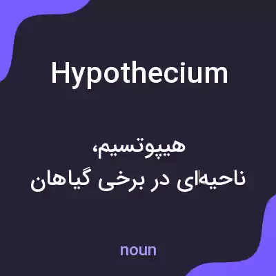 معنی hypothecium به فارسی معنی hypothecium به فارسی