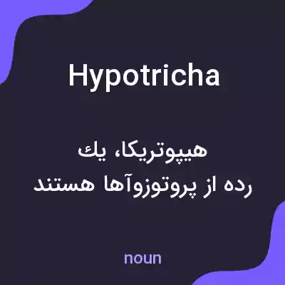 معنی hypotricha به فارسی معنی hypotricha به فارسی