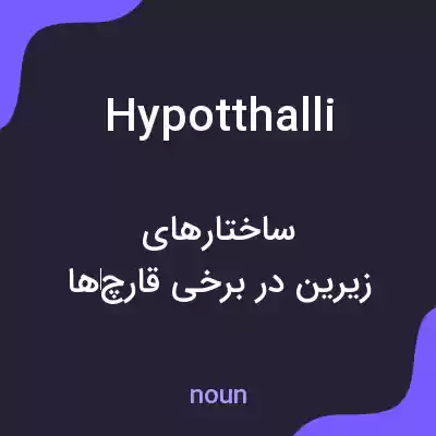 معنی hypotthalli به فارسی معنی hypotthalli به فارسی