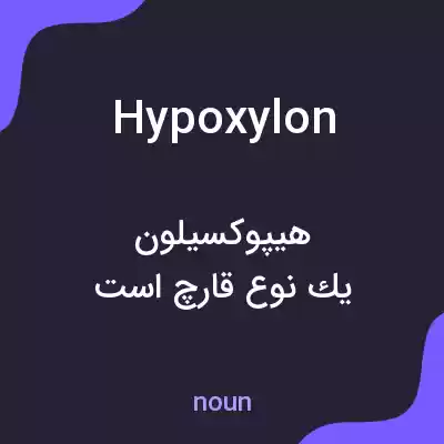 معنی hypoxylon به فارسی معنی hypoxylon به فارسی