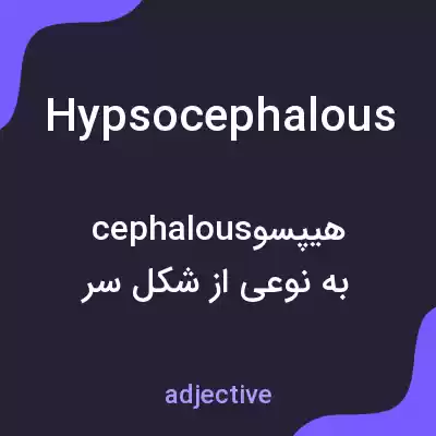 معنی hypsocephalous به فارسی معنی hypsocephalous به فارسی
