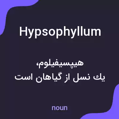 معنی hypsophyllum به فارسی معنی hypsophyllum به فارسی