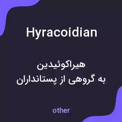 معنی hyracoidian به فارسی معنی hyracoidian به فارسی