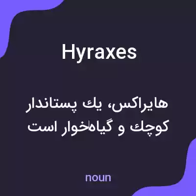 معنی hyraxes به فارسی معنی hyraxes به فارسی