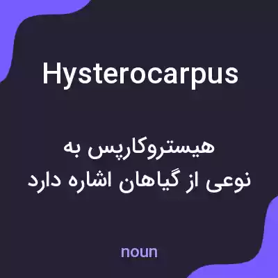 معنی hysterocarpus به فارسی معنی hysterocarpus به فارسی