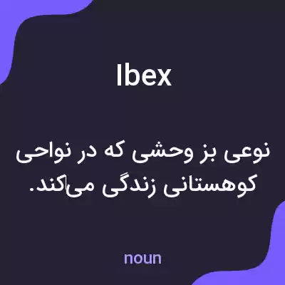 معنی ibex به فارسی معنی ibex به فارسی