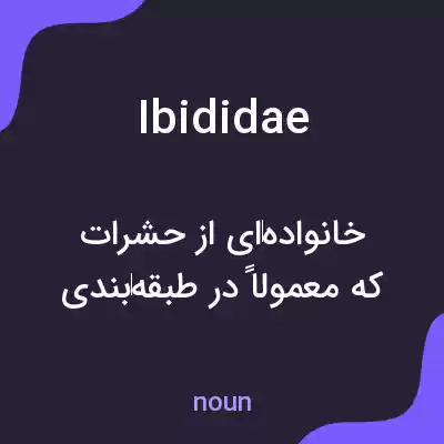 معنی ibididae به فارسی معنی ibididae به فارسی