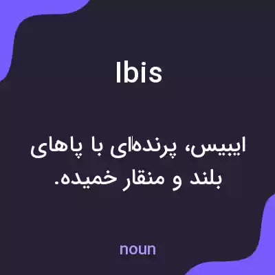 معنی ibis به فارسی معنی ibis به فارسی