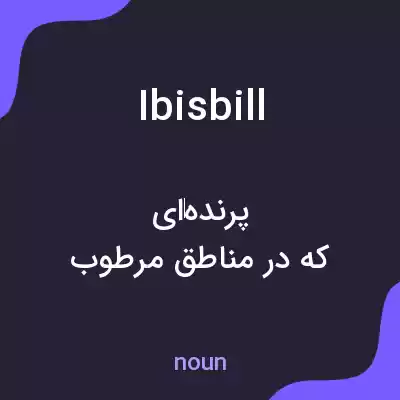 معنی ibisbill به فارسی معنی ibisbill به فارسی