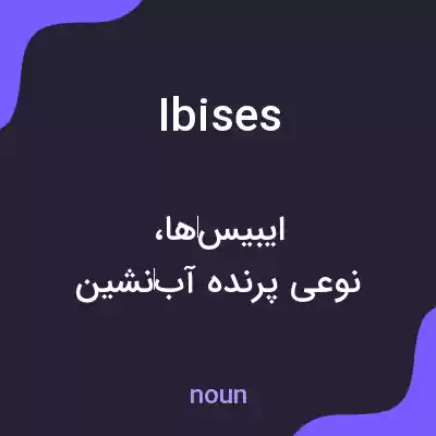 معنی ibises به فارسی معنی ibises به فارسی