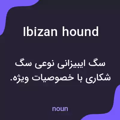 معنی ibizan hound به فارسی معنی ibizan hound به فارسی