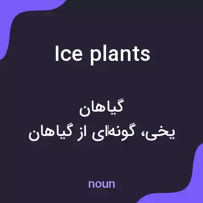معنی ice plants به فارسی معنی ice plants به فارسی