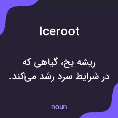 معنی iceroot به فارسی معنی iceroot به فارسی